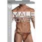 Male Power Wonder Thong Animal Print S/M