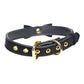 Master Series Golden Kitty Cat Bell Collar - Black/Gold